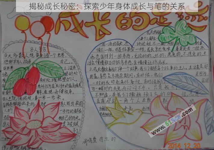 揭秘成长秘密：探索少年身体成长与笔的关系