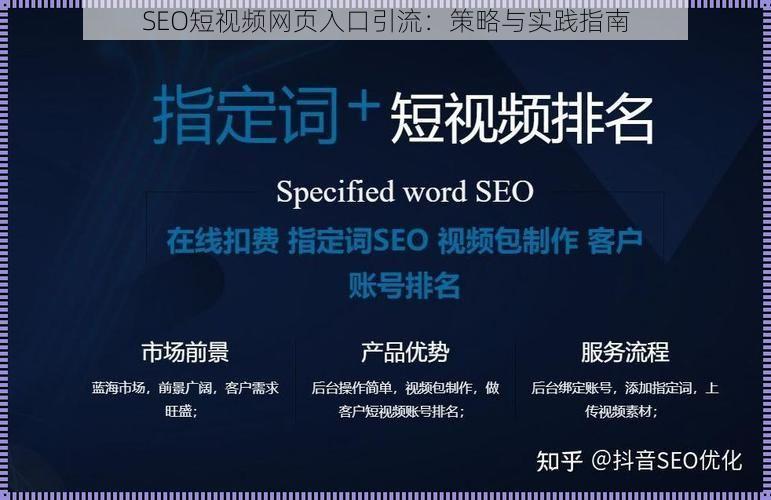 SEO短视频网页入口引流：策略与实践指南