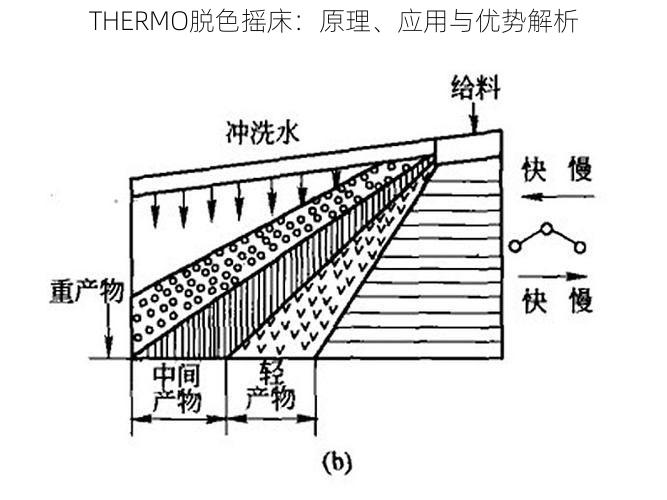 THERMO脱色摇床：原理、应用与优势解析