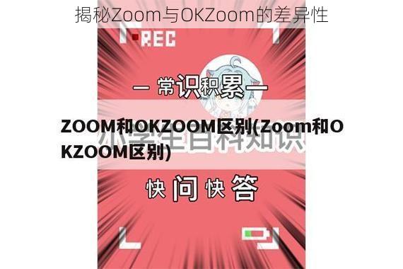 揭秘Zoom与OKZoom的差异性