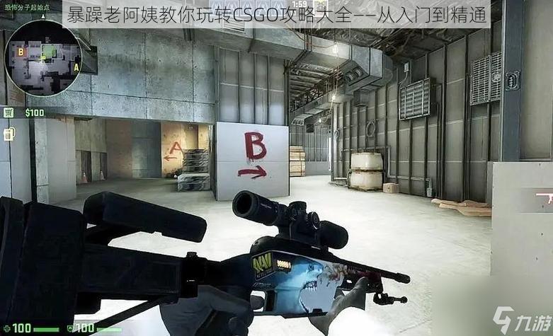 暴躁老阿姨教你玩转CSGO攻略大全——从入门到精通