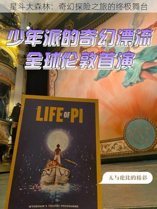 星斗大森林：奇幻探险之旅的终极舞台