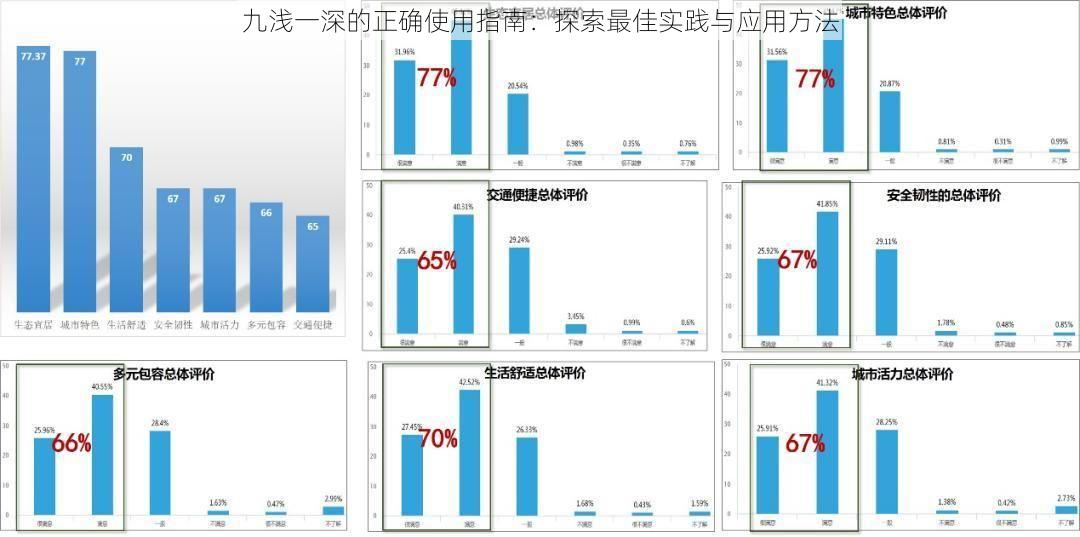 九浅一深的正确使用指南：探索最佳实践与应用方法