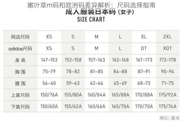 嫩叶草m码和欧洲码差异解析：尺码选择指南