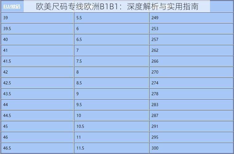 欧美尺码专线欧洲B1B1：深度解析与实用指南