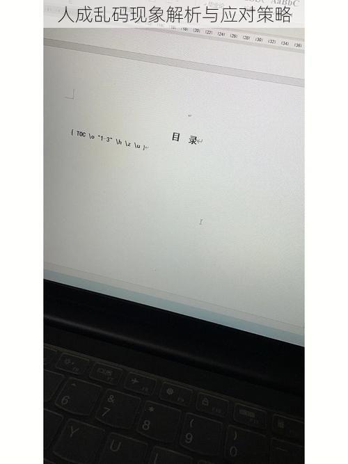 人成乱码现象解析与应对策略