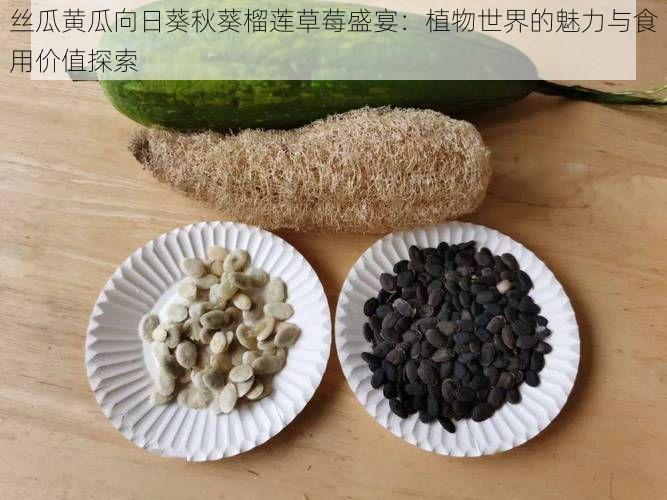 丝瓜黄瓜向日葵秋葵榴莲草莓盛宴：植物世界的魅力与食用价值探索