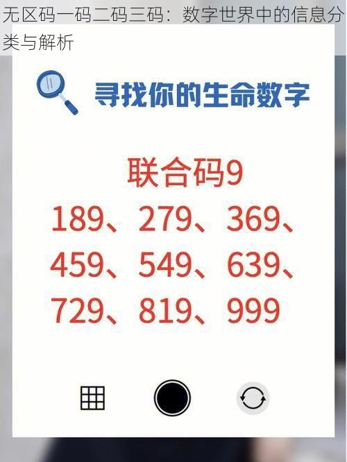 无区码一码二码三码：数字世界中的信息分类与解析