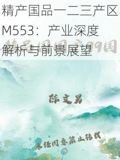 精产国品一二三产区M553：产业深度解析与前景展望