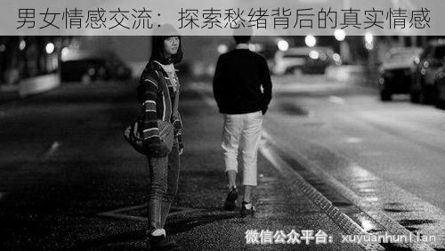 男女情感交流：探索愁绪背后的真实情感