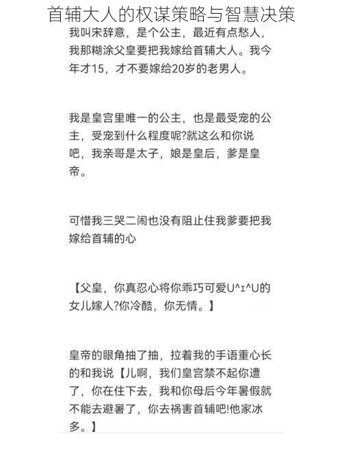 首辅大人的权谋策略与智慧决策