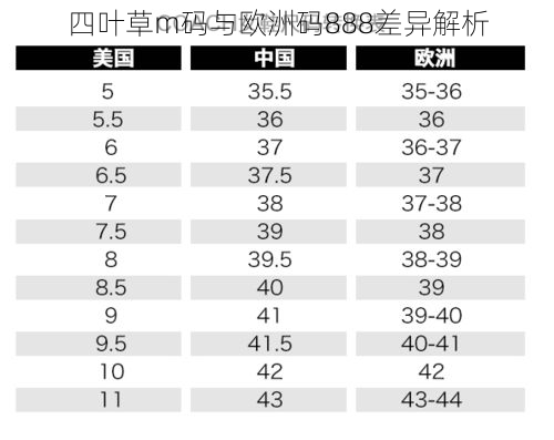 四叶草m码与欧洲码888差异解析