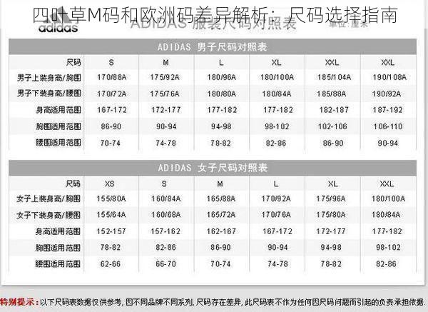 四叶草M码和欧洲码差异解析：尺码选择指南