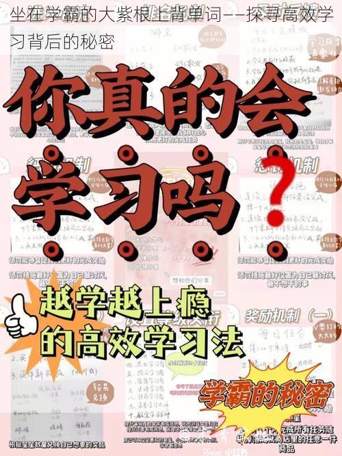 坐在学霸的大紫根上背单词——探寻高效学习背后的秘密