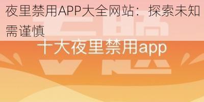 夜里禁用APP大全网站：探索未知需谨慎