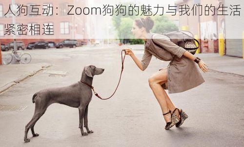 人狗互动：Zoom狗狗的魅力与我们的生活紧密相连