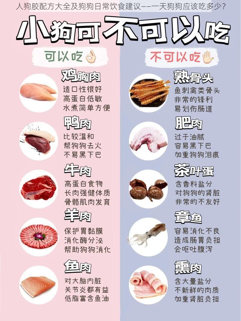 人狗胶配方大全及狗狗日常饮食建议——一天狗狗应该吃多少？