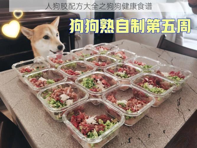 人狗胶配方大全之狗狗健康食谱