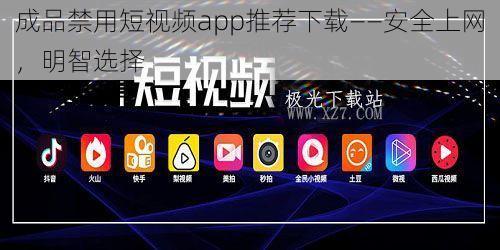 成品禁用短视频app推荐下载——安全上网，明智选择