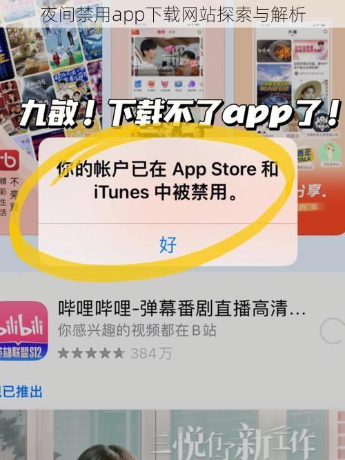 夜间禁用app下载网站探索与解析