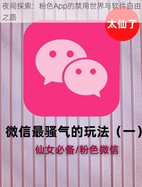 夜间探索：粉色App的禁用世界与软件自由之路