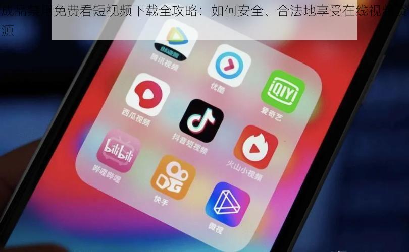 成品禁用免费看短视频下载全攻略：如何安全、合法地享受在线视频资源