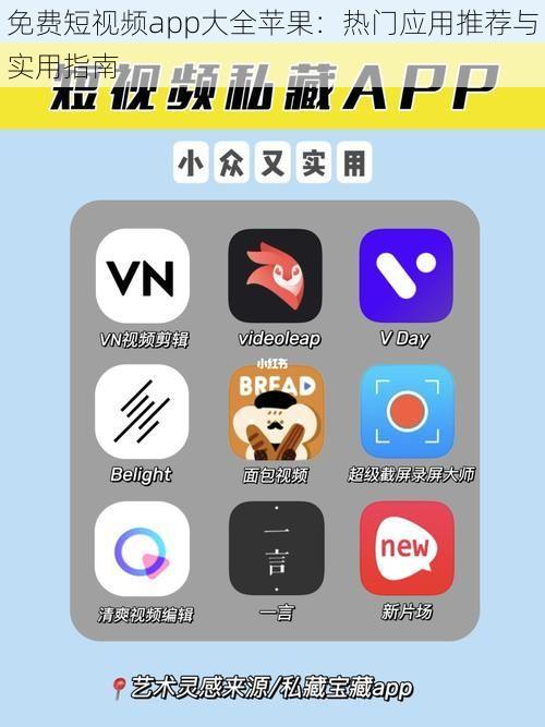 免费短视频app大全苹果：热门应用推荐与实用指南