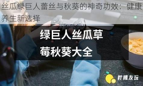 丝瓜绿巨人蕾丝与秋葵的神奇功效：健康养生新选择