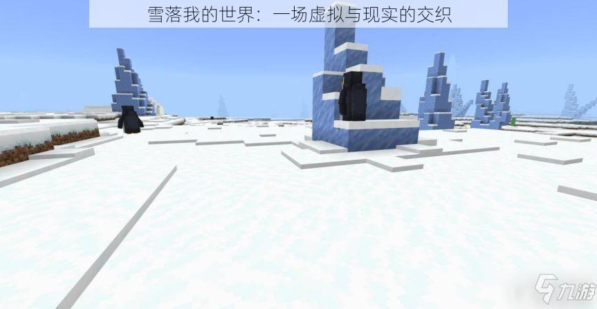 雪落我的世界：一场虚拟与现实的交织