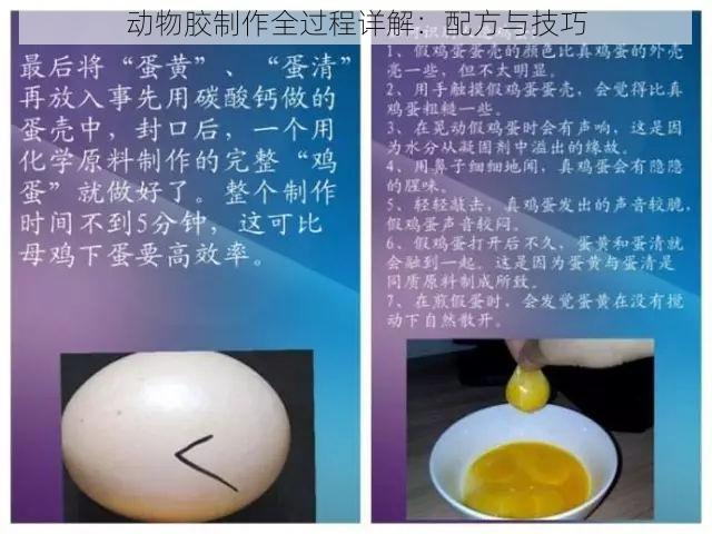 动物胶制作全过程详解：配方与技巧