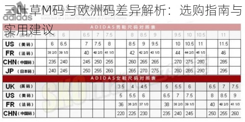 三叶草M码与欧洲码差异解析：选购指南与实用建议