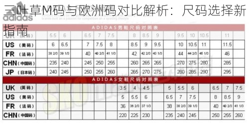 三叶草M码与欧洲码对比解析：尺码选择新指南