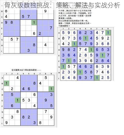 骨灰级数独挑战：策略、解法与实战分析