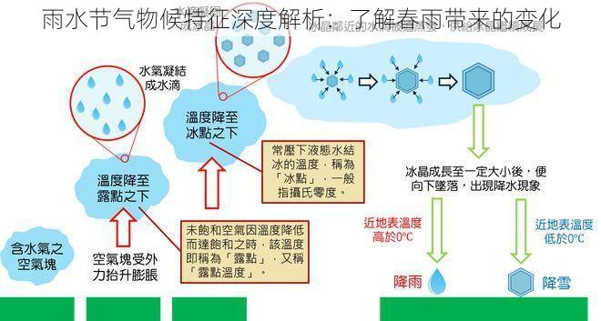 雨水节气物候特征深度解析：了解春雨带来的变化