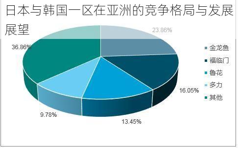 日本与韩国一区在亚洲的竞争格局与发展展望