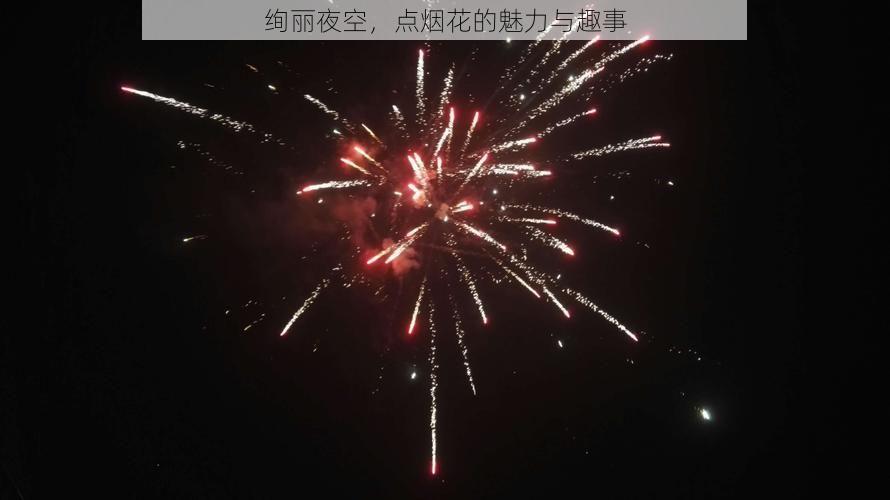 绚丽夜空，点烟花的魅力与趣事