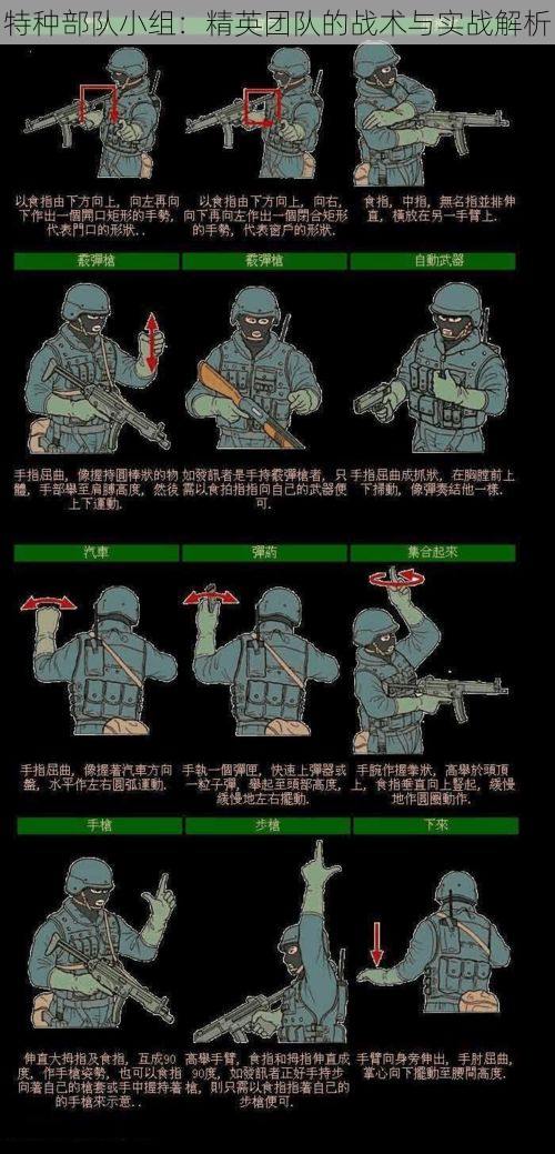 特种部队小组：精英团队的战术与实战解析