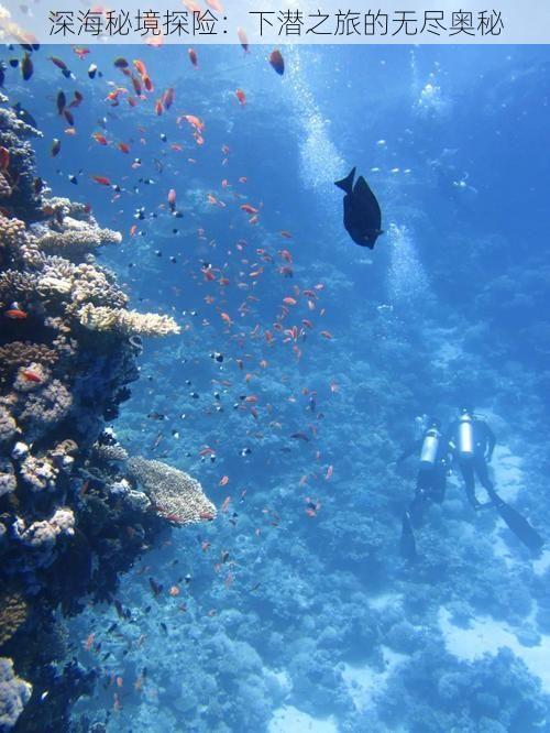 深海秘境探险：下潜之旅的无尽奥秘