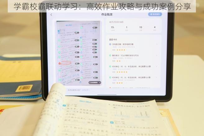 学霸校霸联动学习：高效作业攻略与成功案例分享