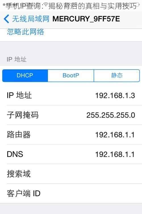 手机IP查询：揭秘背后的真相与实用技巧