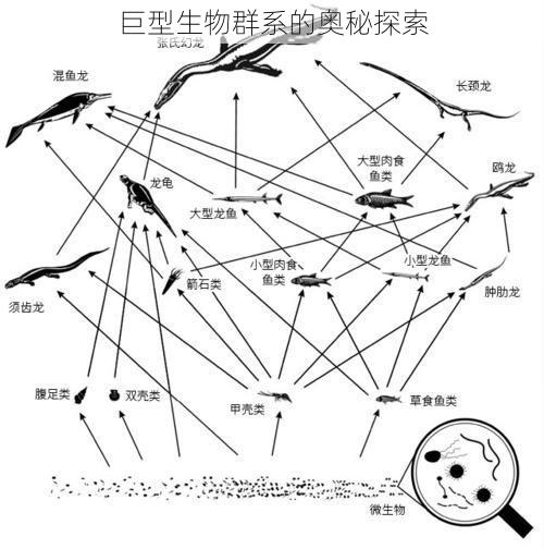 巨型生物群系的奥秘探索