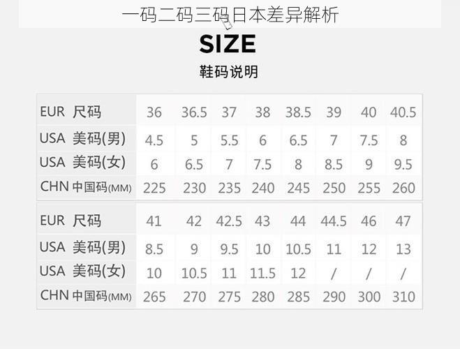 一码二码三码日本差异解析