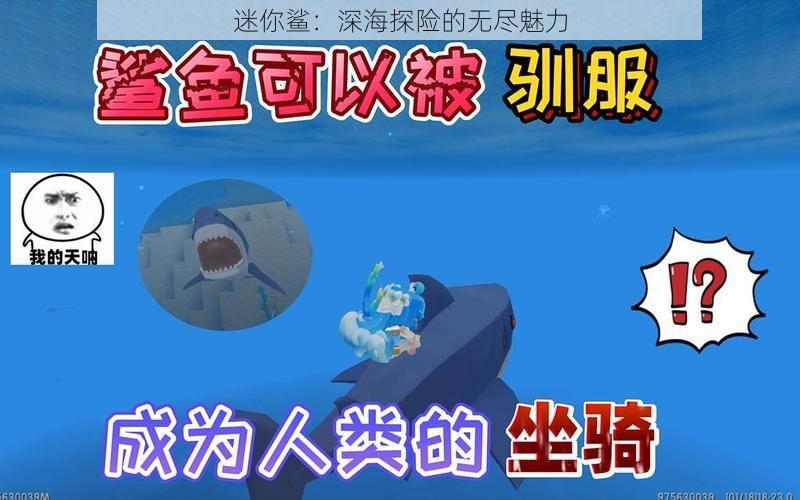 迷你鲨：深海探险的无尽魅力