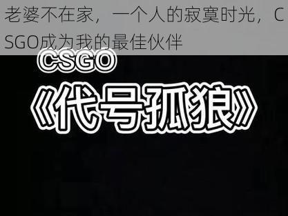 老婆不在家，一个人的寂寞时光，CSGO成为我的最佳伙伴