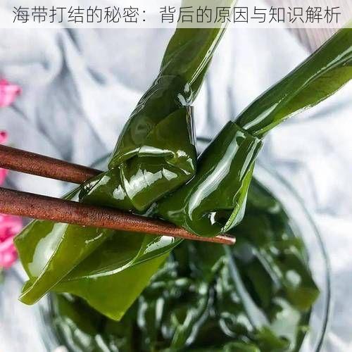 海带打结的秘密：背后的原因与知识解析