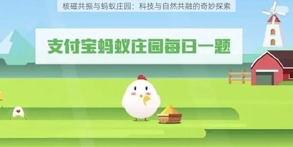 核磁共振与蚂蚁庄园：科技与自然共融的奇妙探索