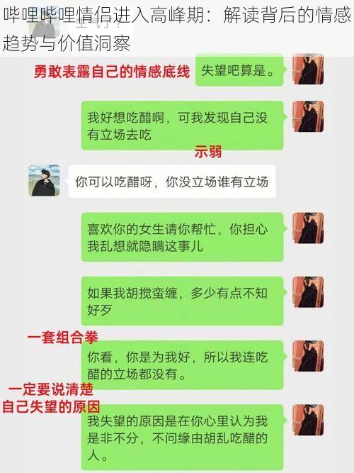 哔哩哔哩情侣进入高峰期：解读背后的情感趋势与价值洞察