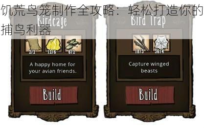 饥荒鸟笼制作全攻略：轻松打造你的捕鸟利器