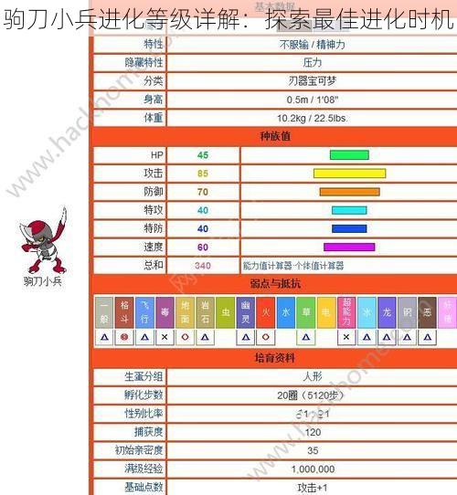 驹刀小兵进化等级详解：探索最佳进化时机