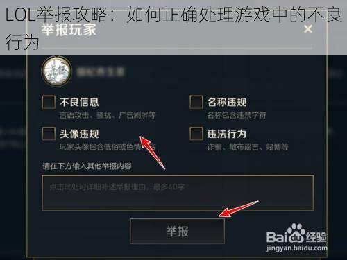 LOL举报攻略：如何正确处理游戏中的不良行为